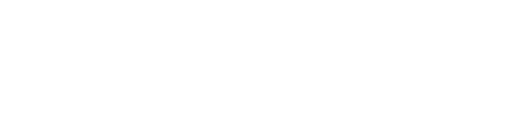 Patt Veterinary Hospital Logo White