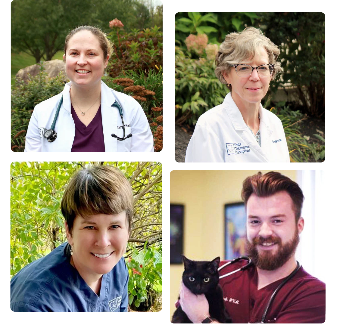 Collage-team-members