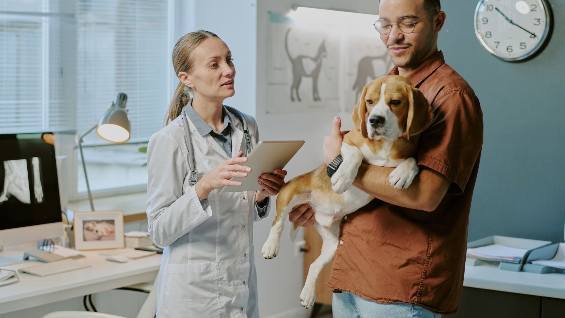 Two people are holding a dog in an office